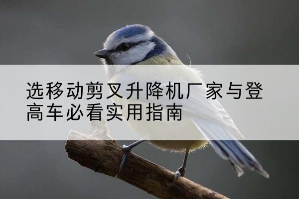 周口电动升降机厂家-选移动剪叉升降机厂家与登高车必看实用指南