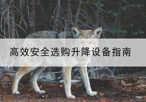 周口升降货梯厂家推荐-*安全选购升降设备指南